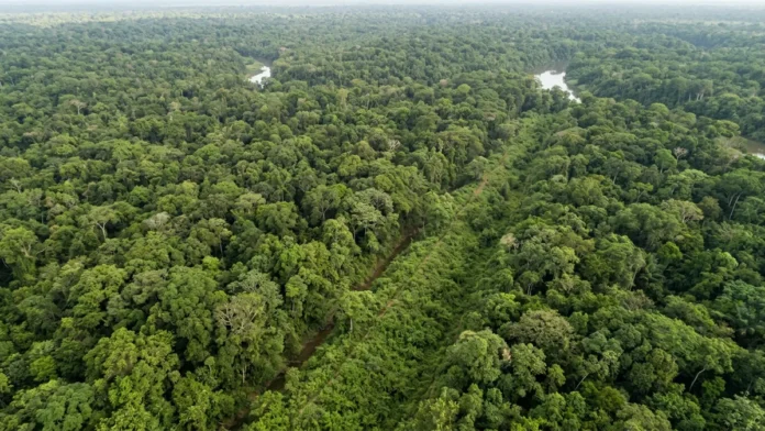 Laser varre 4.500 km² de floresta no Acre e revela 3 marcas do relevo escondidas sob a vegetação Laser varre 4.500 km² de floresta no Acre e revela 3 marcas do relevo escondidas sob a vegetação
