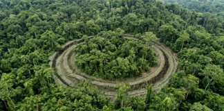 Lidar encontra formas geométricas sob a floresta amazônica e estudo projeta até 30 mil vestígios indígenas datados entre 600 a.C. e 850 d.C. Lidar encontra formas geométricas sob a floresta amazônica e estudo projeta até 30 mil vestígios indígenas datados entre 600 a.C. e 850 d.C.