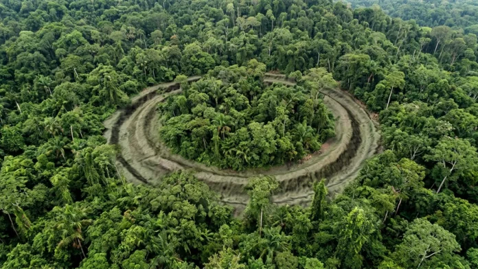 Lidar encontra formas geométricas sob a floresta amazônica e estudo projeta até 30 mil vestígios indígenas datados entre 600 a.C. e 850 d.C.