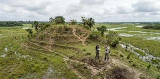 Tesos do Marajó elevam comunidades acima das cheias e revelam sociedade organizada há mais de 400 anos, antes de 1616 Tesos do Marajó elevam comunidades acima das cheias e revelam sociedade organizada há mais de 400 anos, antes de 1616