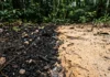 Resíduos orgânicos e fogo formam terra preta, que concentra quatro minerais e guarda até cem vezes mais carbono no solo amazônico Resíduos orgânicos e fogo formam terra preta, que concentra quatro minerais e guarda até cem vezes mais carbono no solo amazônico