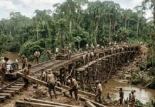 Ferrovia na Amazônia começa em 1877, empresa faliu em 1879 e Percival Farquhar retoma a obra trinta anos depois Ferrovia na Amazônia começa em 1877, empresa faliu em 1879 e Percival Farquhar retoma a obra trinta anos depois