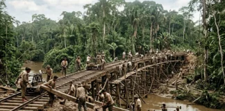 Ferrovia na Amazônia começa em 1877, empresa faliu em 1879 e Percival Farquhar retoma a obra trinta anos depois Ferrovia na Amazônia começa em 1877, empresa faliu em 1879 e Percival Farquhar retoma a obra trinta anos depois