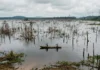 Entre 1960 e 1980, grandes barragens deslocaram cerca de 1 milhão de pessoas e transformaram áreas rurais em reservatórios no Brasil Entre 1960 e 1980, grandes barragens deslocaram cerca de 1 milhão de pessoas e transformaram áreas rurais em reservatórios no Brasil