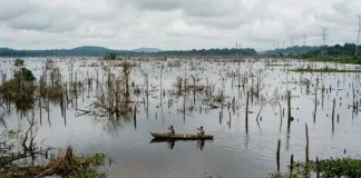 Entre 1960 e 1980, grandes barragens deslocaram cerca de 1 milhão de pessoas e transformaram áreas rurais em reservatórios no Brasil Entre 1960 e 1980, grandes barragens deslocaram cerca de 1 milhão de pessoas e transformaram áreas rurais em reservatórios no Brasil