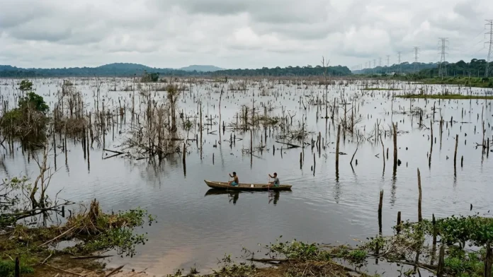 Entre 1960 e 1980, grandes barragens deslocaram cerca de 1 milhão de pessoas e transformaram áreas rurais em reservatórios no Brasil Entre 1960 e 1980, grandes barragens deslocaram cerca de 1 milhão de pessoas e transformaram áreas rurais em reservatórios no Brasil
