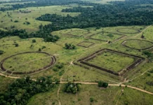 Geoglifos do Acre combinam valas e aterros, formam 2 formas geométricas e só revelam o desenho inteiro vistos de cima Geoglifos do Acre combinam valas e aterros, formam 2 formas geométricas e só revelam o desenho inteiro vistos de cima