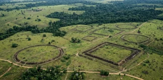 Geoglifos do Acre combinam valas e aterros, formam 2 formas geométricas e só revelam o desenho inteiro vistos de cima Geoglifos do Acre combinam valas e aterros, formam 2 formas geométricas e só revelam o desenho inteiro vistos de cima