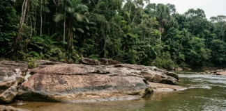 Uma gravura em afloramento rochoso à margem de um rio no Pará só aparece quando a água baixa, segundo estudo arqueológico Uma gravura em afloramento rochoso à margem de um rio no Pará só aparece quando a água baixa, segundo estudo arqueológico