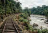 Ferrovia Madeira-Mamoré contorna cachoeiras para escoar borracha boliviana e fica pronta em 1912, no século XX, quando a Ásia já tirava mercado Ferrovia Madeira-Mamoré contorna cachoeiras para escoar borracha boliviana e fica pronta em 1912, no século XX, quando a Ásia já tirava mercado