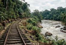 Ferrovia Madeira-Mamoré contorna cachoeiras para escoar borracha boliviana e fica pronta em 1912, no século XX, quando a Ásia já tirava mercado Ferrovia Madeira-Mamoré contorna cachoeiras para escoar borracha boliviana e fica pronta em 1912, no século XX, quando a Ásia já tirava mercado