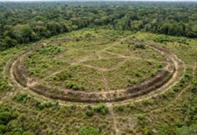 Dois elementos, vala e aterro, repetem quatro formas geométricas em diferentes sítios de geoglifos amazônicos, segundo estudo Dois elementos, vala e aterro, repetem quatro formas geométricas em diferentes sítios de geoglifos amazônicos, segundo estudo