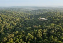 Lidar dispara pulso de laser do avião e transforma sinais da copa e do solo em relevo amazônico sem vegetação Lidar dispara 1 pulso de laser do avião e transforma 2 sinais, da copa e do solo, em relevo amazônico sem vegetação