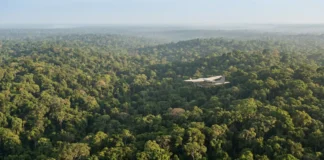 Lidar dispara pulso de laser do avião e transforma sinais da copa e do solo em relevo amazônico sem vegetação Lidar dispara 1 pulso de laser do avião e transforma 2 sinais, da copa e do solo, em relevo amazônico sem vegetação