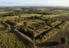 Um instituto criado no Acre acompanha geoglifos em áreas privadas, onde duas atividades podem fazer desaparecer estruturas Um instituto criado no Acre acompanha geoglifos em áreas privadas, onde duas atividades podem fazer desaparecer estruturas