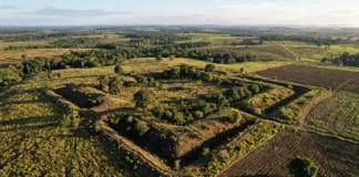 Um instituto criado no Acre acompanha geoglifos em áreas privadas, onde duas atividades podem fazer desaparecer estruturas Um instituto criado no Acre acompanha geoglifos em áreas privadas, onde duas atividades podem fazer desaparecer estruturas