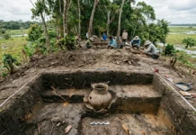 Tesos do Marajó reuniam três usos e revelavam urnas funerárias no aterro habitado, em estudos iniciados no século XIX Tesos do Marajó reuniam três usos e revelavam urnas funerárias no aterro habitado, em estudos iniciados no século XIX