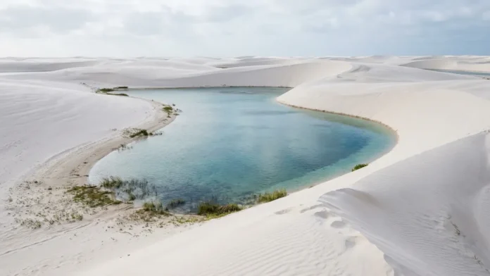 Nos Lençóis Maranhenses, chuvas de 6 meses enchem lagoas entre dunas, enquanto peixes reaparecem a cada 1 novo ciclo Nos Lençóis Maranhenses, chuvas de 6 meses enchem lagoas entre dunas, enquanto peixes reaparecem a cada 1 novo ciclo
