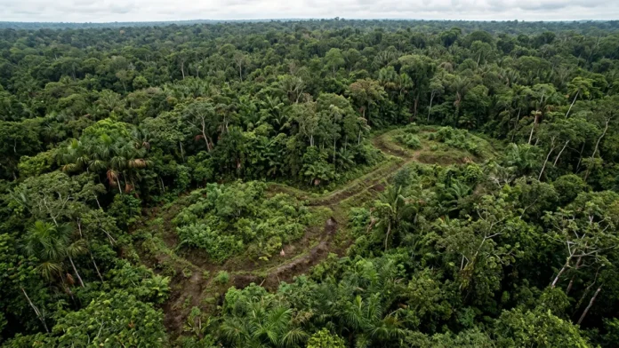Estruturas de terra sob a mata são datadas entre 600 a.C. e 850 d.C. e indicam ocupação contínua por mais de mil anos