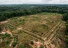 Geoglifos do Acre aparecem após duas pistas e uma datação recua a ocupação pré-colonial para antes do esperado Geoglifos do Acre aparecem após duas pistas e uma datação recua a ocupação pré-colonial para antes do esperado