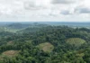 Lidar revela uma paisagem construída sob a floresta e reabre duas perguntas sobre quem viveu ali Lidar revela uma paisagem construída sob a floresta e reabre duas perguntas sobre quem viveu ali