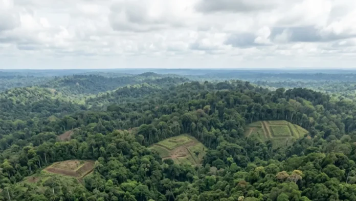 Lidar revela uma paisagem construída sob a floresta e reabre duas perguntas sobre quem viveu ali