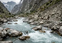 Rios do Himalaia revelam como a força da correnteza reorganiza a vida e elimina espécies pouco adaptadas Rios do Himalaia revelam como a força da correnteza reorganiza a vida e elimina espécies pouco adaptadas