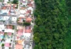 Floresta de 700 hectares sobrevive cercada por bairros e mantém nascentes, fauna e pesquisa em Manaus Floresta de 700 hectares sobrevive cercada por bairros e mantém nascentes, fauna e pesquisa em Manaus