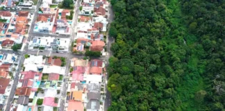 Floresta de 700 hectares sobrevive cercada por bairros e mantém nascentes, fauna e pesquisa em Manaus Floresta de 700 hectares sobrevive cercada por bairros e mantém nascentes, fauna e pesquisa em Manaus