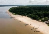 Reino Unido põe 400 milhões de libras no Fundo de Florestas Tropicais , mas TFFF ainda busca US$ 3 bilhões antes da COP31 Reino Unido põe 400 milhões de libras no Fundo de Florestas Tropicais , mas TFFF ainda busca US$ 3 bilhões antes da COP31