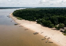 Reino Unido põe 400 milhões de libras no Fundo de Florestas Tropicais , mas TFFF ainda busca US$ 3 bilhões antes da COP31 Reino Unido põe 400 milhões de libras no Fundo de Florestas Tropicais , mas TFFF ainda busca US$ 3 bilhões antes da COP31