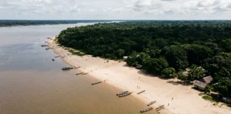 Reino Unido põe 400 milhões de libras no Fundo de Florestas Tropicais , mas TFFF ainda busca US$ 3 bilhões antes da COP31 Reino Unido põe 400 milhões de libras no Fundo de Florestas Tropicais , mas TFFF ainda busca US$ 3 bilhões antes da COP31