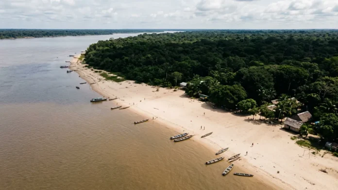 Reino Unido põe 400 milhões de libras no Fundo de Florestas Tropicais , mas TFFF ainda busca US$ 3 bilhões antes da COP31