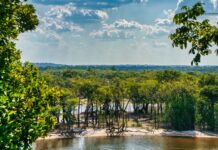 Reino Unido libera 400 milhões de libras para o TFFF, que busca chegar a US$ 10 bilhões até a COP31 Reino Unido libera 400 milhões de libras para o TFFF, que busca chegar a US$ 10 bilhões até a COP31
