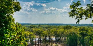 Reino Unido libera 400 milhões de libras para o TFFF, que busca chegar a US$ 10 bilhões até a COP31 Reino Unido libera 400 milhões de libras para o TFFF, que busca chegar a US$ 10 bilhões até a COP31