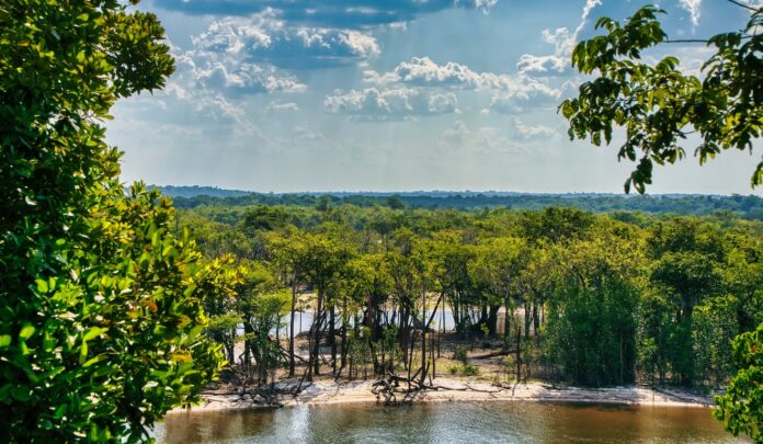 Reino Unido libera 400 milhões de libras para o TFFF, que busca chegar a US$ 10 bilhões até a COP31