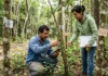 Mercado de carbono pode alcançar 2.188 empresas e mudar custos de produção no Brasil até 2031 Mercado de carbono pode alcançar 2.188 empresas e mudar custos de produção no Brasil até 2031
