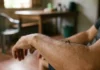 Estudo com 119 pessoas revela por que três espécies de mosquito escolhem vítimas diferentes Estudo com 119 pessoas revela por que três espécies de mosquito escolhem vítimas diferentes