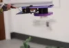 Drone que gira 25 vezes por segundo cria desfoque e pode monitorar animais sem alterar seu comportamento Drone que gira 25 vezes por segundo cria desfoque e pode monitorar animais sem alterar seu comportamento