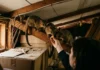 Milhares de animais nativos encontram abrigo em casas na Austrália e mudam a relação com a vida urbana Milhares de animais nativos encontram abrigo em casas na Austrália e mudam a relação com a vida urbana