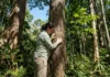 Mais árvores, mais estabilidade: projeto global testa se florestas diversas resistem melhor ao clima extremo Mais árvores, mais estabilidade: projeto global testa se florestas diversas resistem melhor ao clima extremo