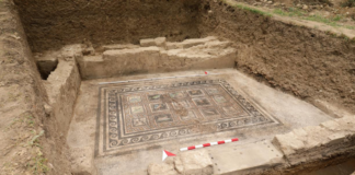 Mosaico romano de 1.800 anos revela nomes de gato e cão em vila luxuosa na costa da Turquia Mosaico romano de 1.800 anos revela nomes de gato e cão em vila luxuosa na costa da Turquia