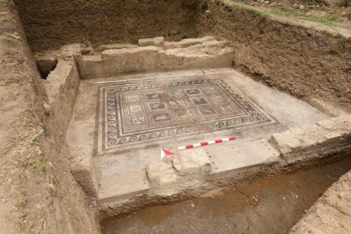 Mosaico romano de 1.800 anos revela nomes de gato e cão em vila luxuosa na costa da Turquia Mosaico romano de 1.800 anos revela nomes de gato e cão em vila luxuosa na costa da Turquia