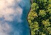 Neblina da Amazônia é capturada em 13 eventos e indica ecossistemas microbianos suspensos no ar Neblina da Amazônia é capturada em 13 eventos e indica ecossistemas microbianos suspensos no ar
