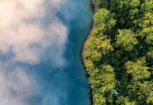Neblina da Amazônia é capturada em 13 eventos e indica ecossistemas microbianos suspensos no ar Neblina da Amazônia é capturada em 13 eventos e indica ecossistemas microbianos suspensos no ar