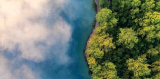 Neblina da Amazônia é capturada em 13 eventos e indica ecossistemas microbianos suspensos no ar Neblina da Amazônia é capturada em 13 eventos e indica ecossistemas microbianos suspensos no ar
