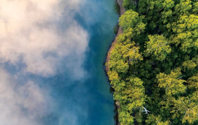 Neblina da Amazônia é capturada em 13 eventos e indica ecossistemas microbianos suspensos no ar