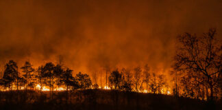 Fumaça de incêndios na Indonésia adoece 113 mil pessoas e fecha escolas enquanto fogo avança no sudeste asiático Fumaça de incêndios na Indonésia adoece 113 mil pessoas e fecha escolas enquanto fogo avança no sudeste asiático