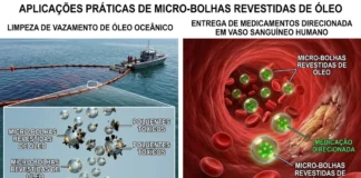 Bolhas revestidas de óleo podem revelar como conter poluentes e liberar remédios com pesquisa de US$ 590 mil Bolhas revestidas de óleo podem revelar como conter poluentes e liberar remédios com pesquisa de US$ 590 mil