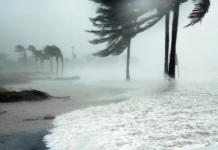 Ciclones e ondas de calor deixam alerta: futuras catástrofes podem superar toda a memória histórica Ciclones e ondas de calor deixam alerta: futuras catástrofes podem superar toda a memória histórica